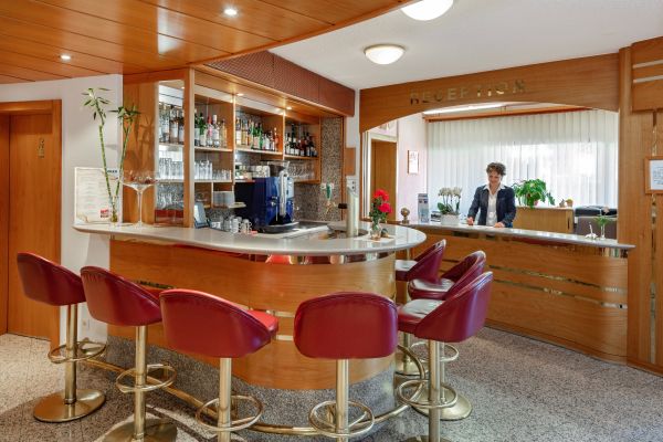 Hotel Alex (Naters)
